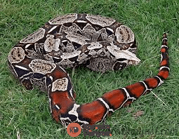 1723935243362.png