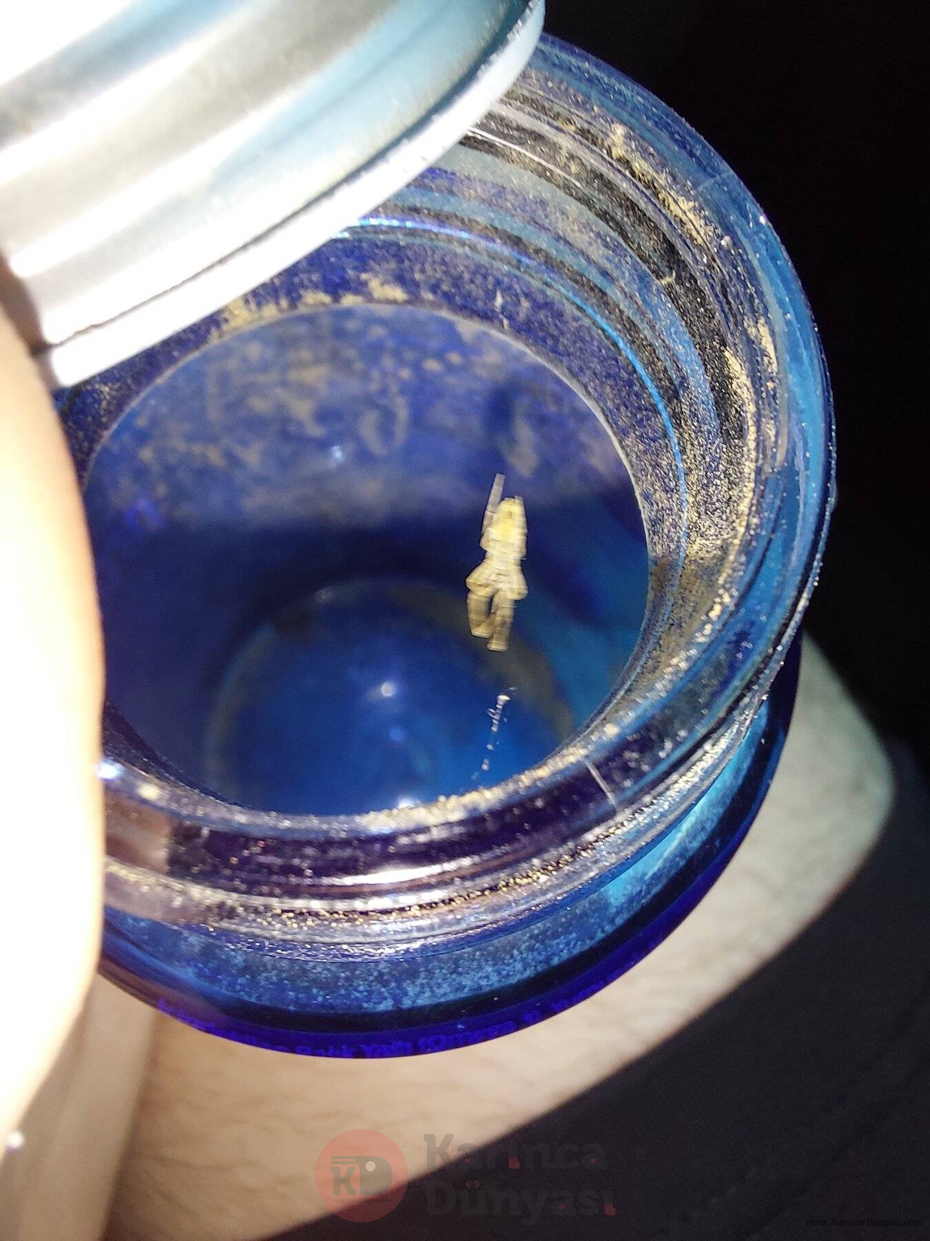 20240728_153801.jpg