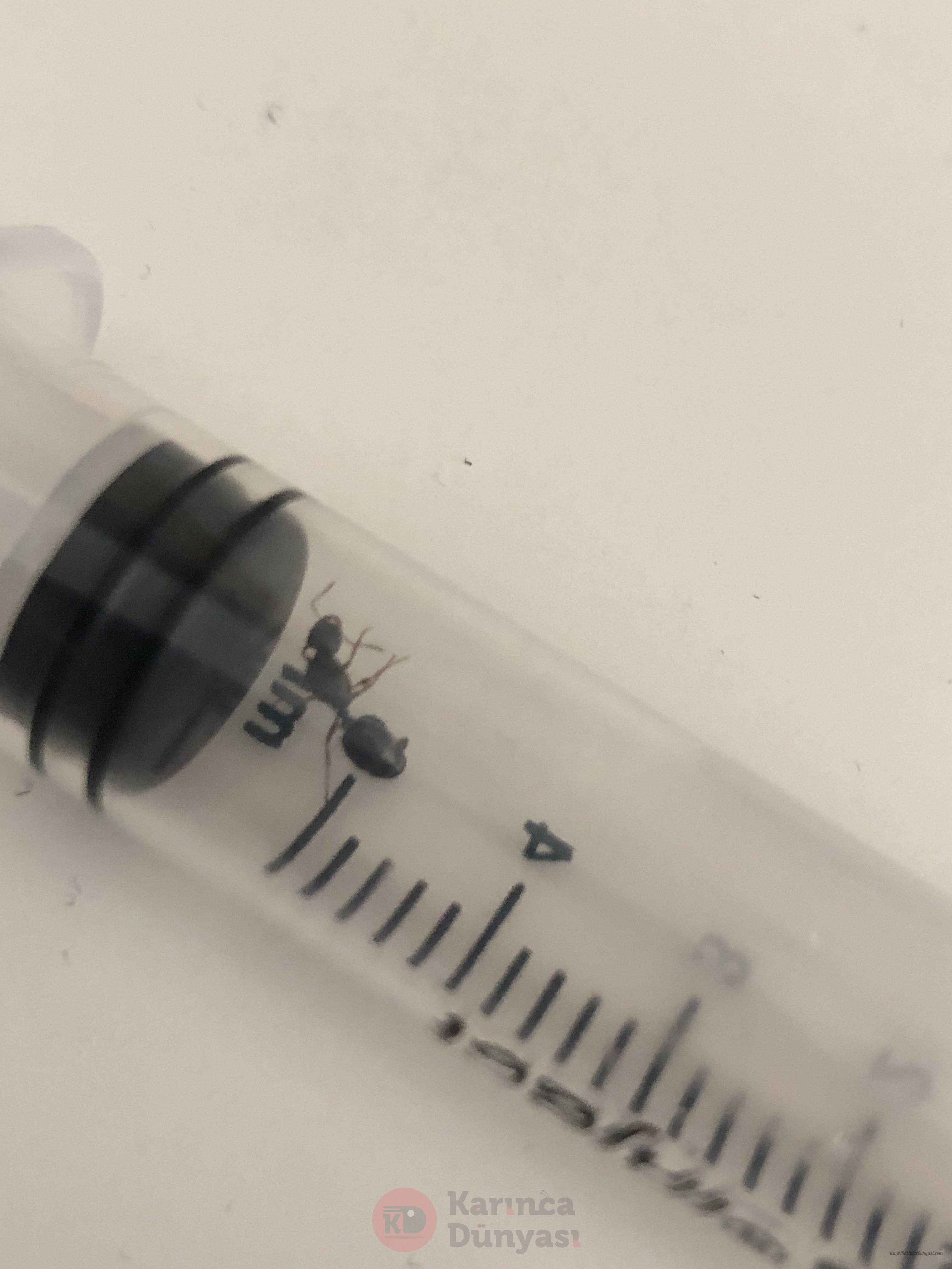 5190B793-A46A-4CE4-8804-340DCD317E50.jpeg
