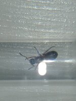 20200611_152555.jpg