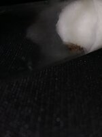 IMG-20210818-WA0119.jpeg