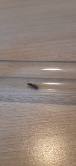 20220611_115628.jpg
