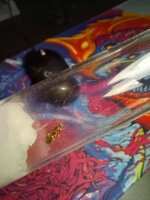 20220716_230415.jpg