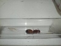 IMG-20220816-WA0016.jpg
