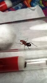 20220820_222153.jpg