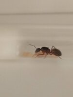 IMG_20220808_111541.jpg