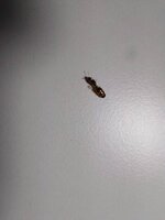 IMG-20220918-WA0003.jpg