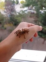 IMG_20220917_185929.jpg