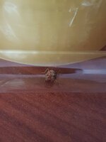 20230616_162249.jpg