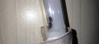 IMG_20240707_182338.jpg