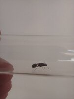 IMG_20240708_171349.jpg