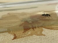 IMG_1570.jpeg
