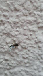 IMG-20240717-WA0004.jpg