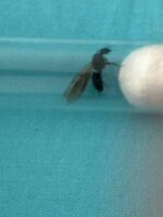 IMG_1597.jpeg