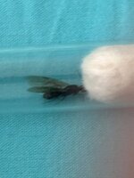 IMG_1596.jpeg