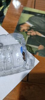 IMG20240724013642.jpg