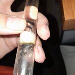 20240730_020959.jpg