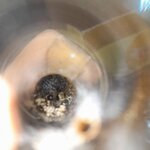 20240730_020858.jpg