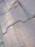 IMG20240730173901.jpg