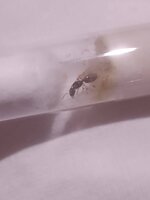 IMG_20240801_001048.jpg