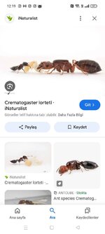 Screenshot_2024-08-02-12-19-32-04_680d03679600f7af0b4c700c6b270fe7.jpg
