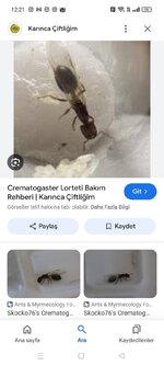 Screenshot_2024-08-02-12-21-29-56_680d03679600f7af0b4c700c6b270fe7.jpg