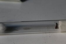 IMG_3322.JPG