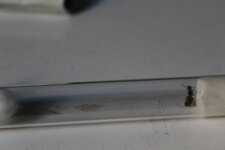 IMG_3323.JPG
