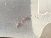 IMG_0179.jpeg