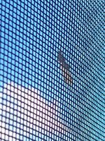 IMG_20240908_162422.jpg