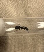 IMG_0026.jpeg