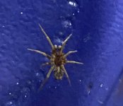IMG_6857.jpeg