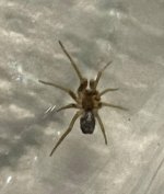 IMG_6858.jpeg