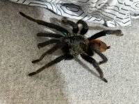 IMG_8865.jpeg