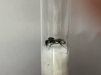 IMG_0599.jpeg