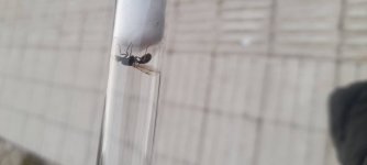 20250327_180532.jpg
