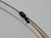 DSCF3265.JPG