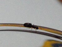 DSCF3266.JPG