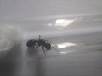 20250420_151628.jpg