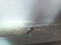 20250420_151837.jpg