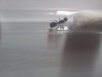 20250420_151828_001.jpg