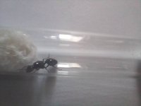 20250420_151537.jpg
