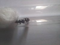 20250420_151518.jpg