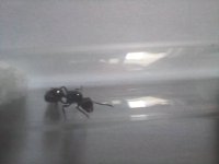 20250420_151459.jpg