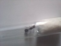 20250420_151824.jpg