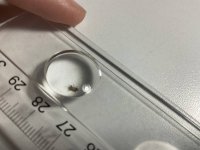 IMG_1009.jpeg