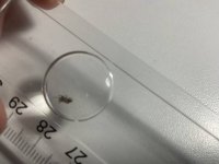 IMG_1008.jpeg