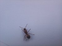 20250503_175005.jpg
