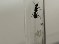 IMG_2999.jpeg