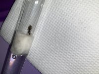 IMG_0439.jpeg